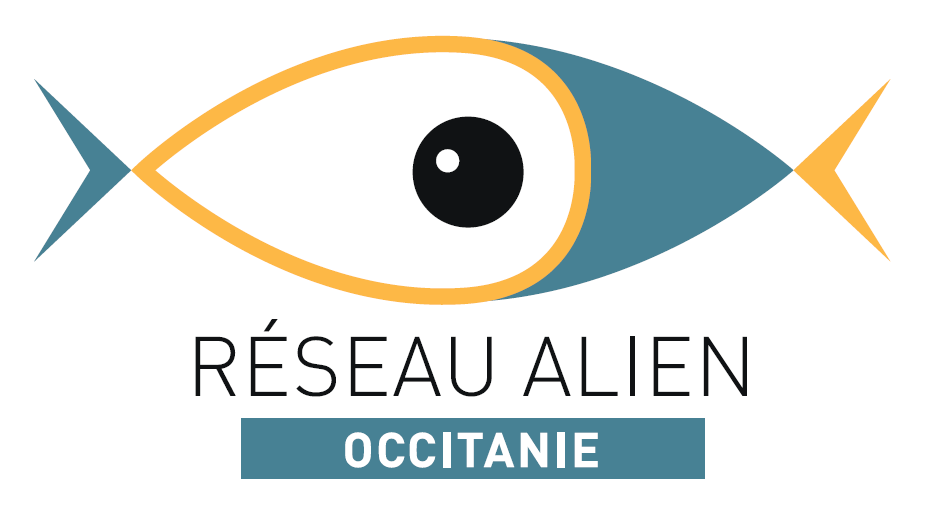 ALIEN Occitanie : suivi participatif des Espèces Non Indigènes Marines, actualité – portail OPEN