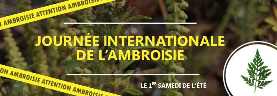 Photo de Journée internationale de l'Ambroisie