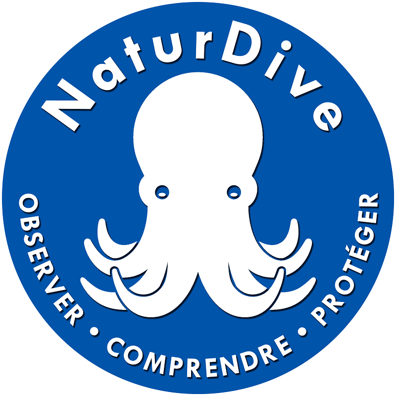 NaturDive - Observatoire Citoyen de la Biodiversité Marine
