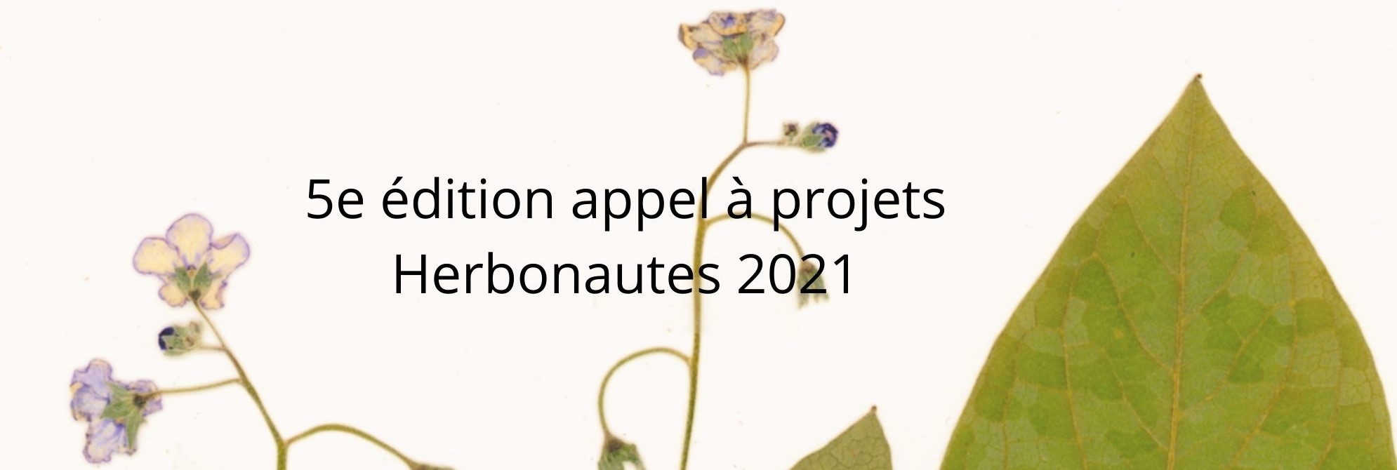 Appel à projet Les Herbonautes : des millions de données à disposition !