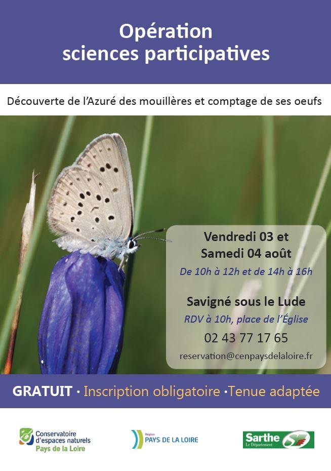 Photo de Découverte de l'Azuré des mouillères et comptage de ses oeufs