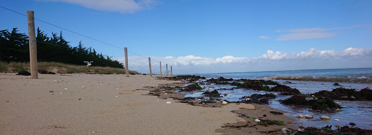 Photo de Inscrivez-vous au 3ème séminaire de Plages Vivantes !