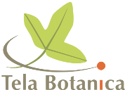 Tela Botanica