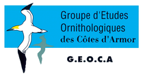 Groupe d'études ornithologiques des Côtes d'Armor - GEOCA