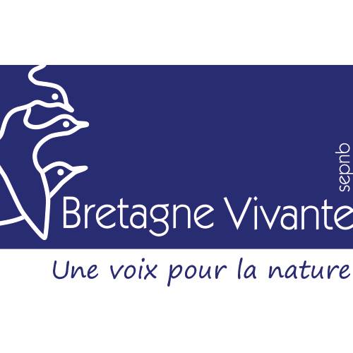 Observatoire régional des oiseaux marins de Bretagne