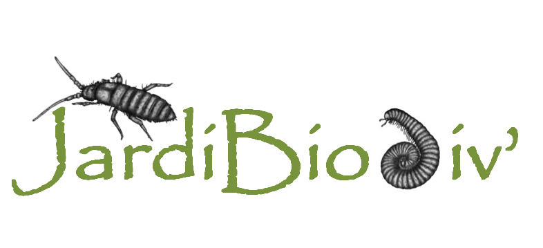 Jardibiodiv outil numérique de sciences participatives sur la biodiversité des sols dans les jardins