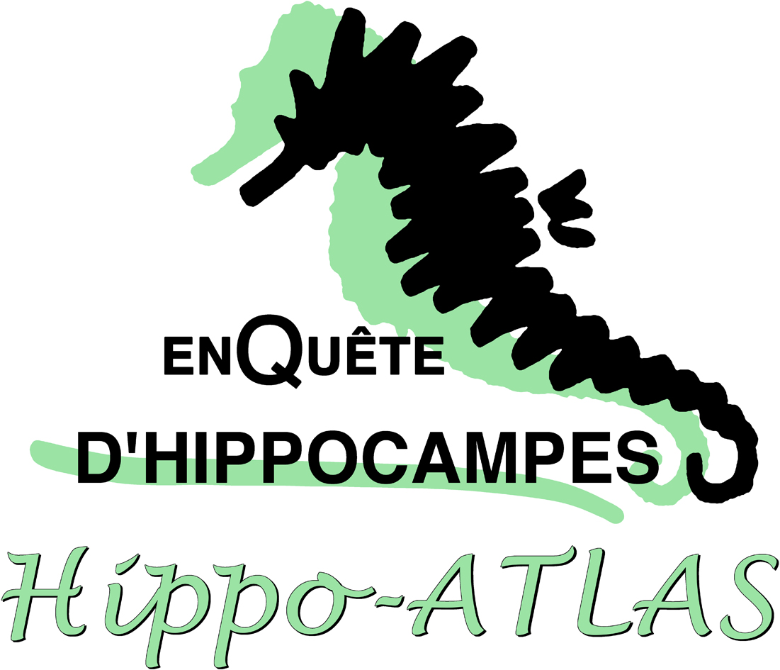 Hippo-ATLAS