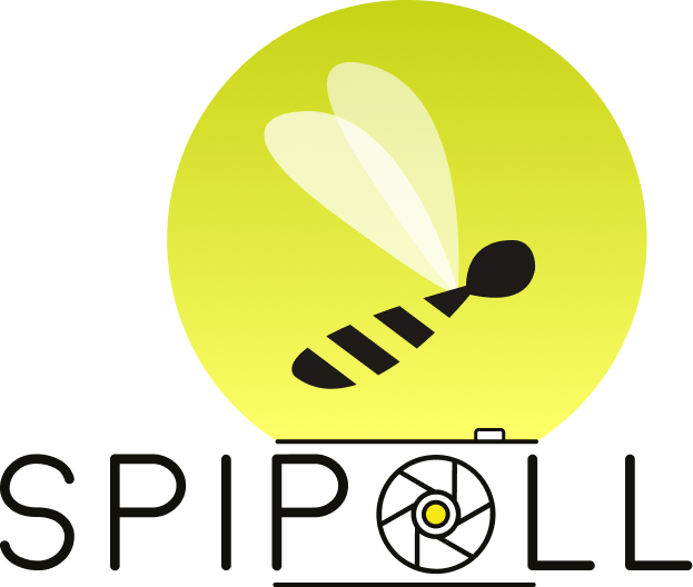 Suivi Photographique des Insectes POLLinisateurs (SPIPOLL)