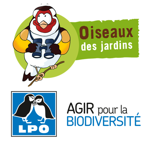 Secourir un Hérisson - LPO (Ligue pour la Protection des Oiseaux) - Agir  pour la biodiversité