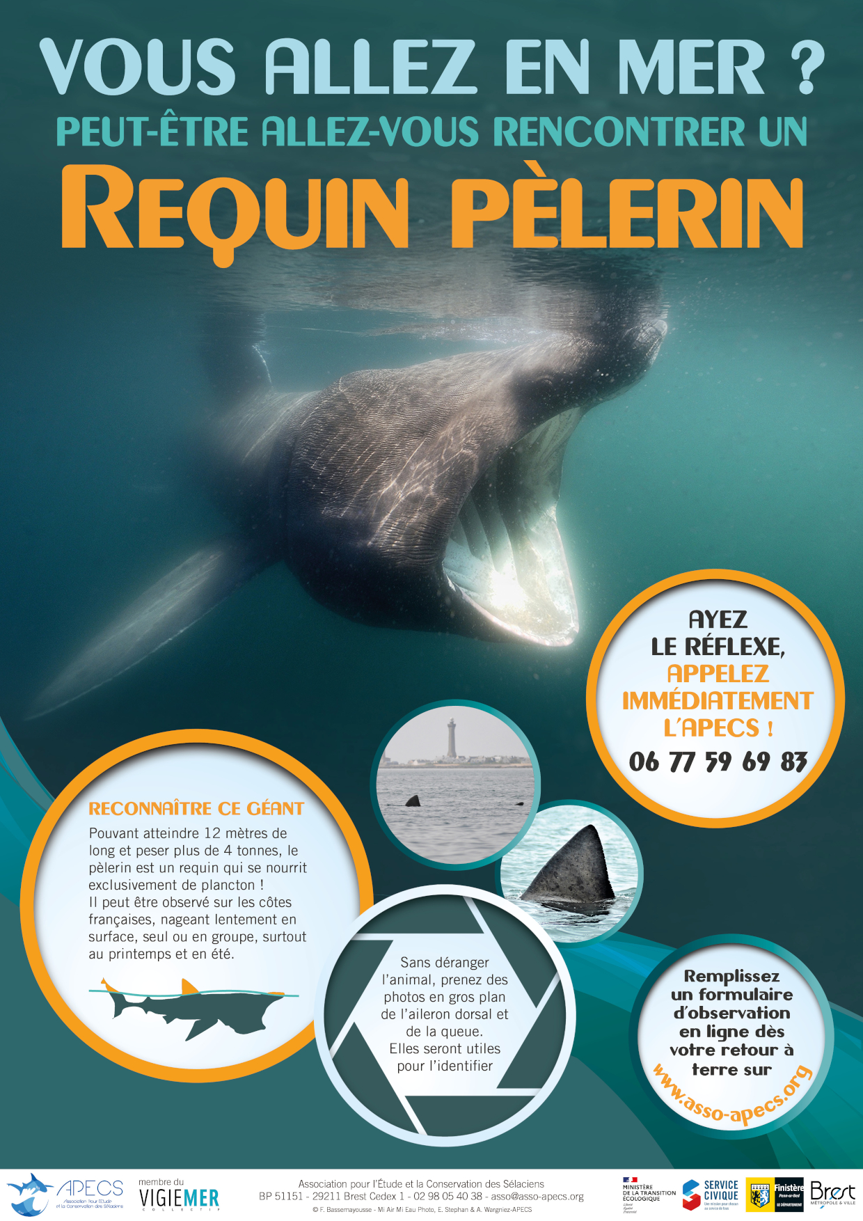 Programme national de recensement des observations de requins pèlerins