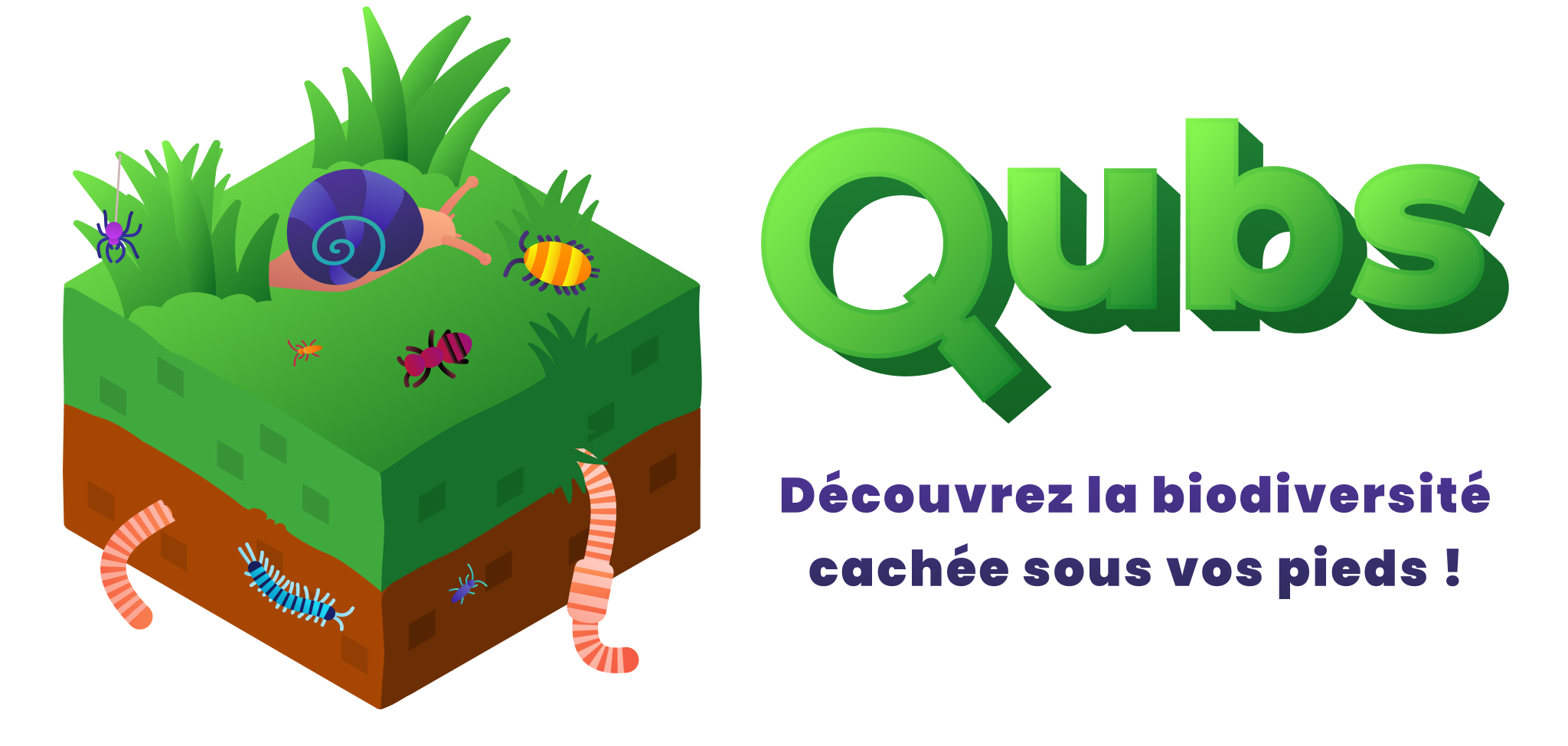 QUBS : QUalité Biologique des Sols