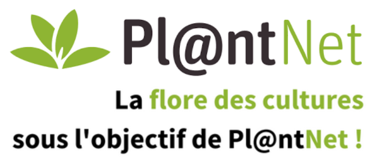 La flore des cultures sous l’objectif de Pl@ntNet